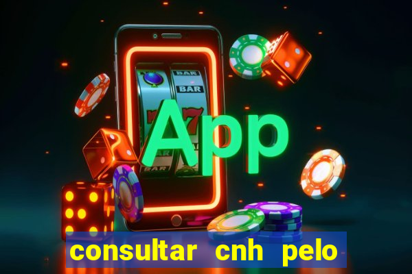 consultar cnh pelo cpf sp