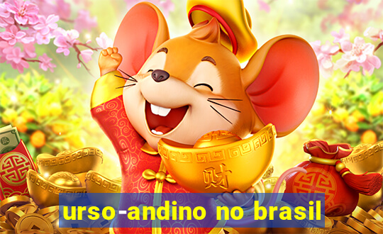 urso-andino no brasil