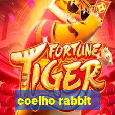 coelho rabbit