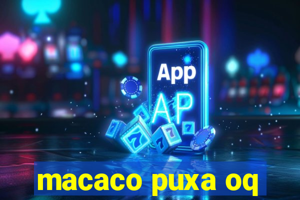 macaco puxa oq