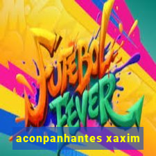 aconpanhantes xaxim