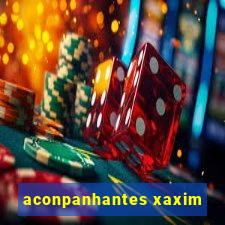 aconpanhantes xaxim