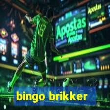 bingo brikker