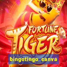 bingotingo canva pro gratis