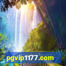 pgvip1177.com