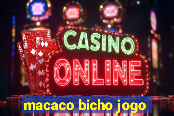 macaco bicho jogo