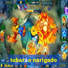 tubarão narigudo