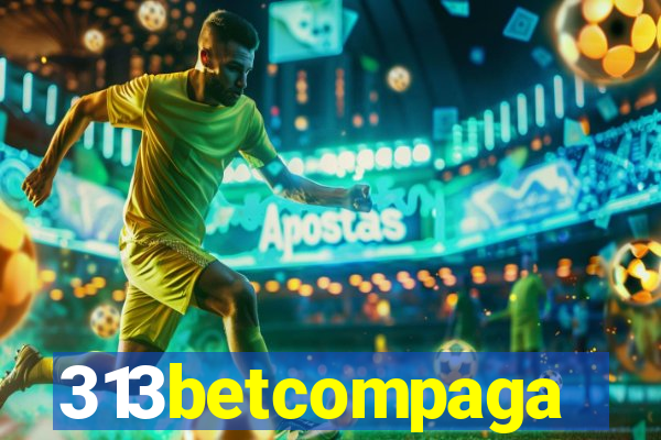 313betcompaga