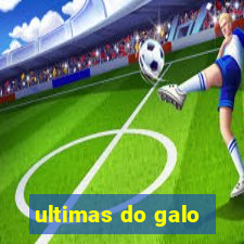 ultimas do galo