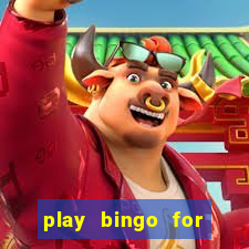 play bingo for free win real money