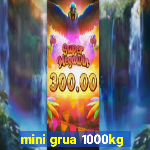 mini grua 1000kg