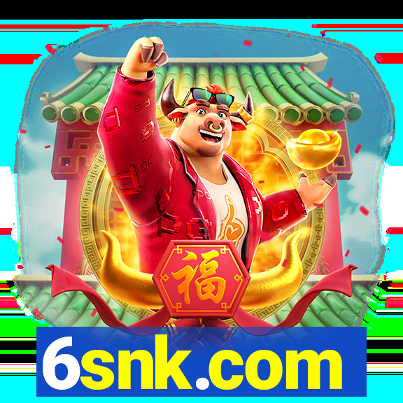 6snk.com