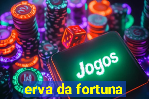 erva da fortuna