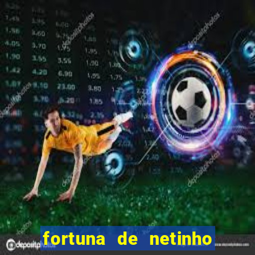 fortuna de netinho de paula