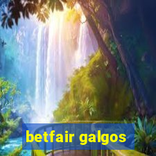 betfair galgos