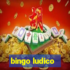 bingo ludico