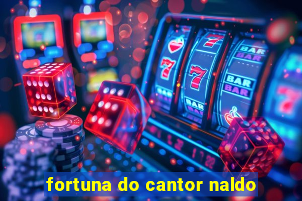 fortuna do cantor naldo