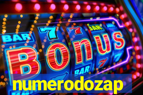 numerodozap