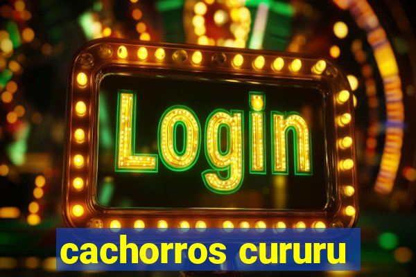 cachorros cururu