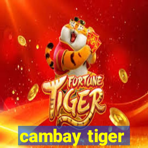 cambay tiger