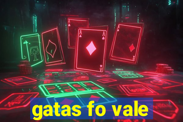 gatas fo vale