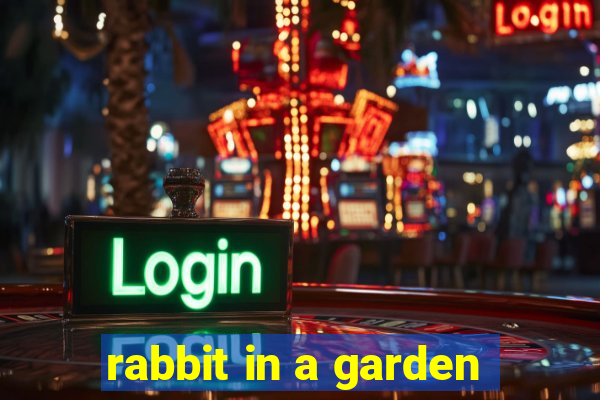 rabbit in a garden