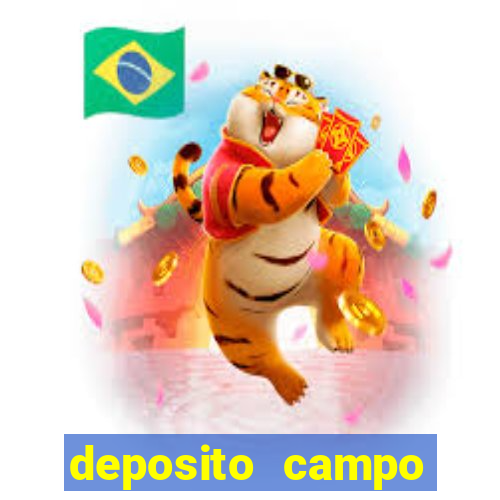 deposito campo grande santos