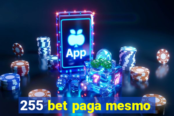 255 bet paga mesmo