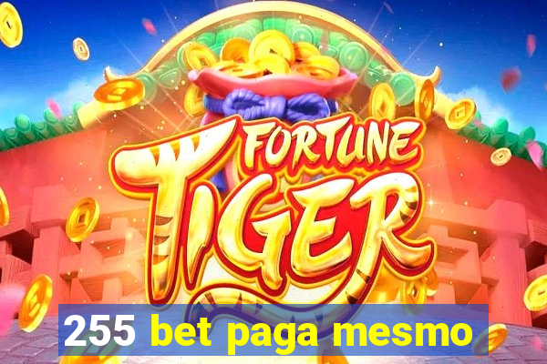 255 bet paga mesmo