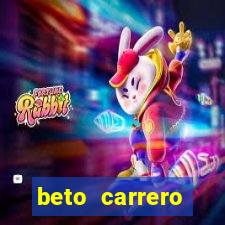 beto carrero cidades proximas