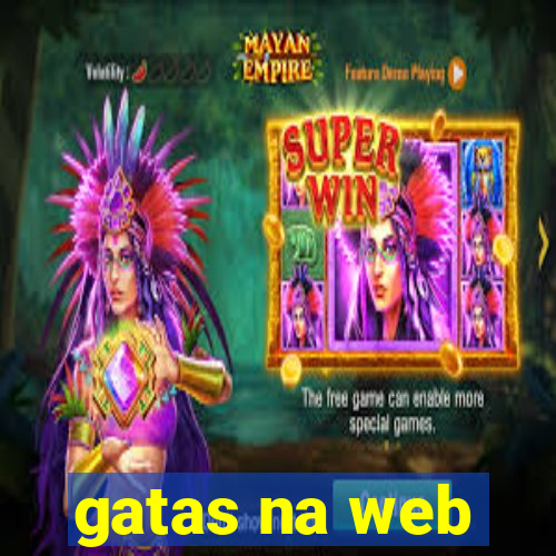 gatas na web