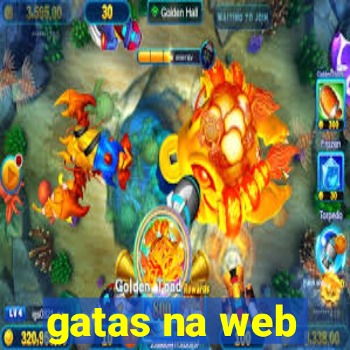 gatas na web