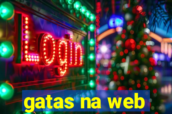 gatas na web