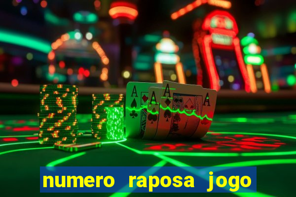 numero raposa jogo do bicho