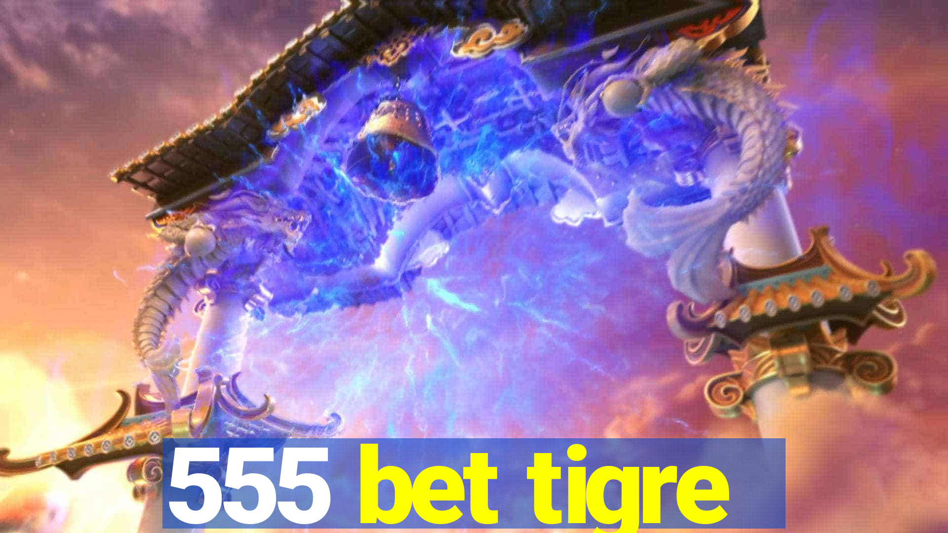 555 bet tigre