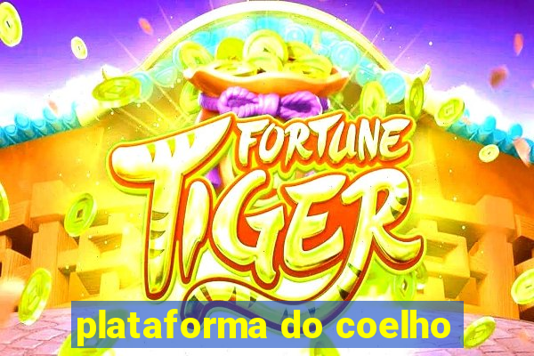 plataforma do coelho