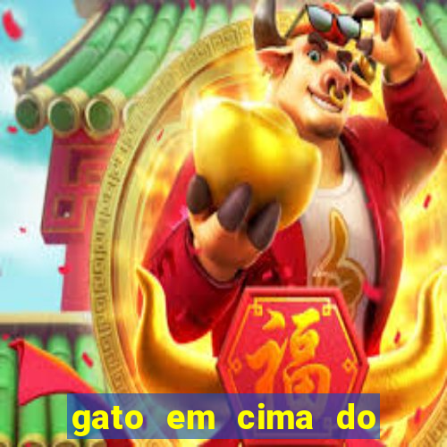 gato em cima do telhado significado espiritual