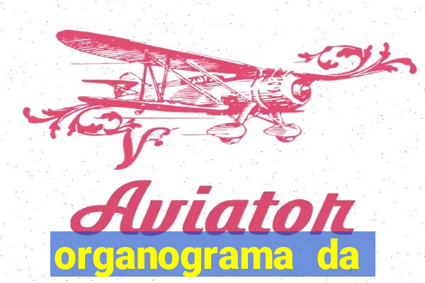 organograma da cacau show