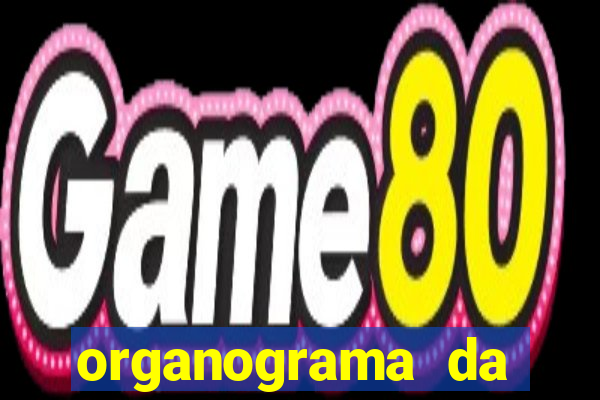 organograma da cacau show