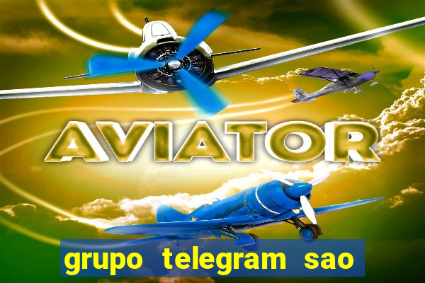 grupo telegram sao jose do rio preto