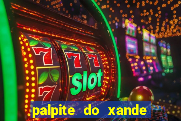 palpite do xande de hoje