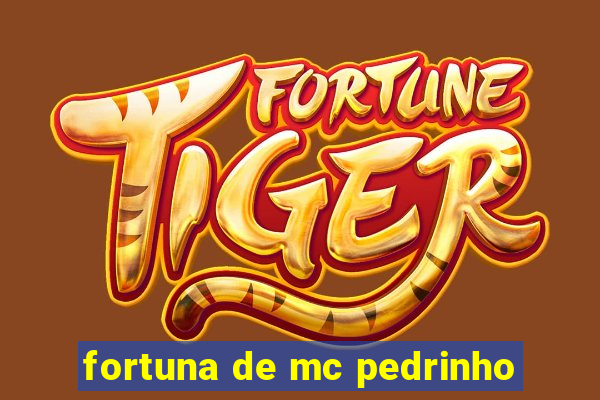 fortuna de mc pedrinho