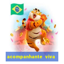 acompanhante viva local baixada fluminense