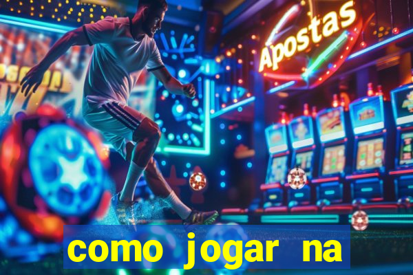 como jogar na lotinha do jogo do bicho