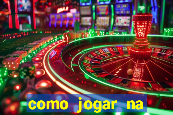 como jogar na lotinha do jogo do bicho