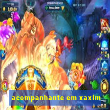 acompanhante em xaxim