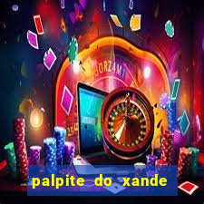 palpite do xande para hoje