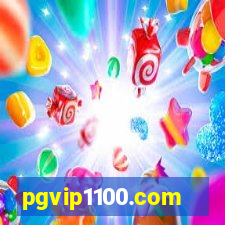 pgvip1100.com