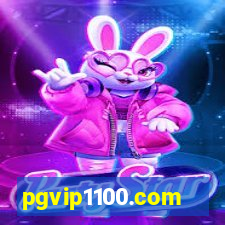 pgvip1100.com