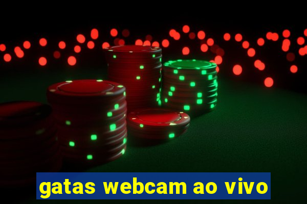 gatas webcam ao vivo